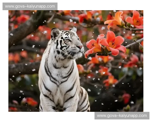 宿命之火：当中国龙遇上卡塔尔隼，这一场绿茵豪赌谁是赢家？