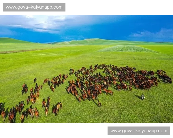 苍狼大地遇战神：内蒙古与陕西——一场跨越时空的文化与风情对话